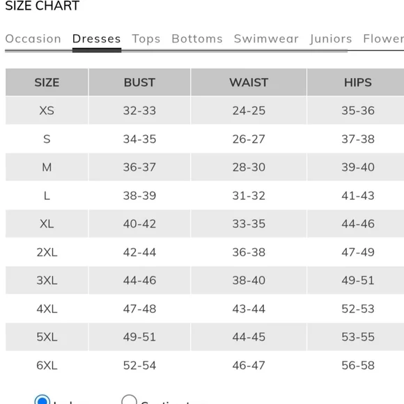 1920s Great Gatsby Flapper Plus Size Sequin Fringe Cap Sleeve Dress Vintage 2X - Picture 15 of 15